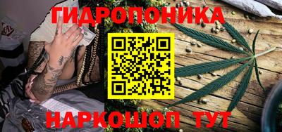скорость Гусев